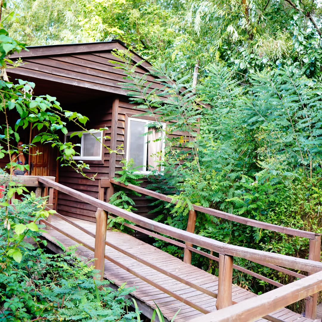 Faro Delta Tigre: Day Pass, Naturaleza y Relax a Minutos del Centro