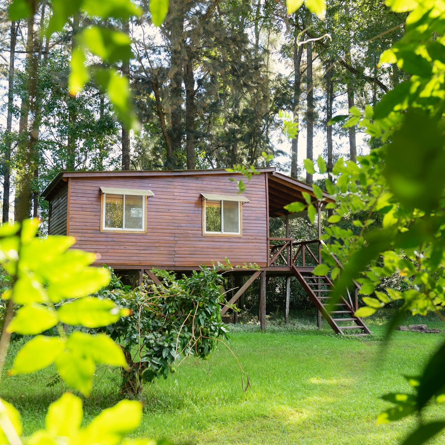 La Gansada – Cabañas en el Delta de Tigre para desconectar